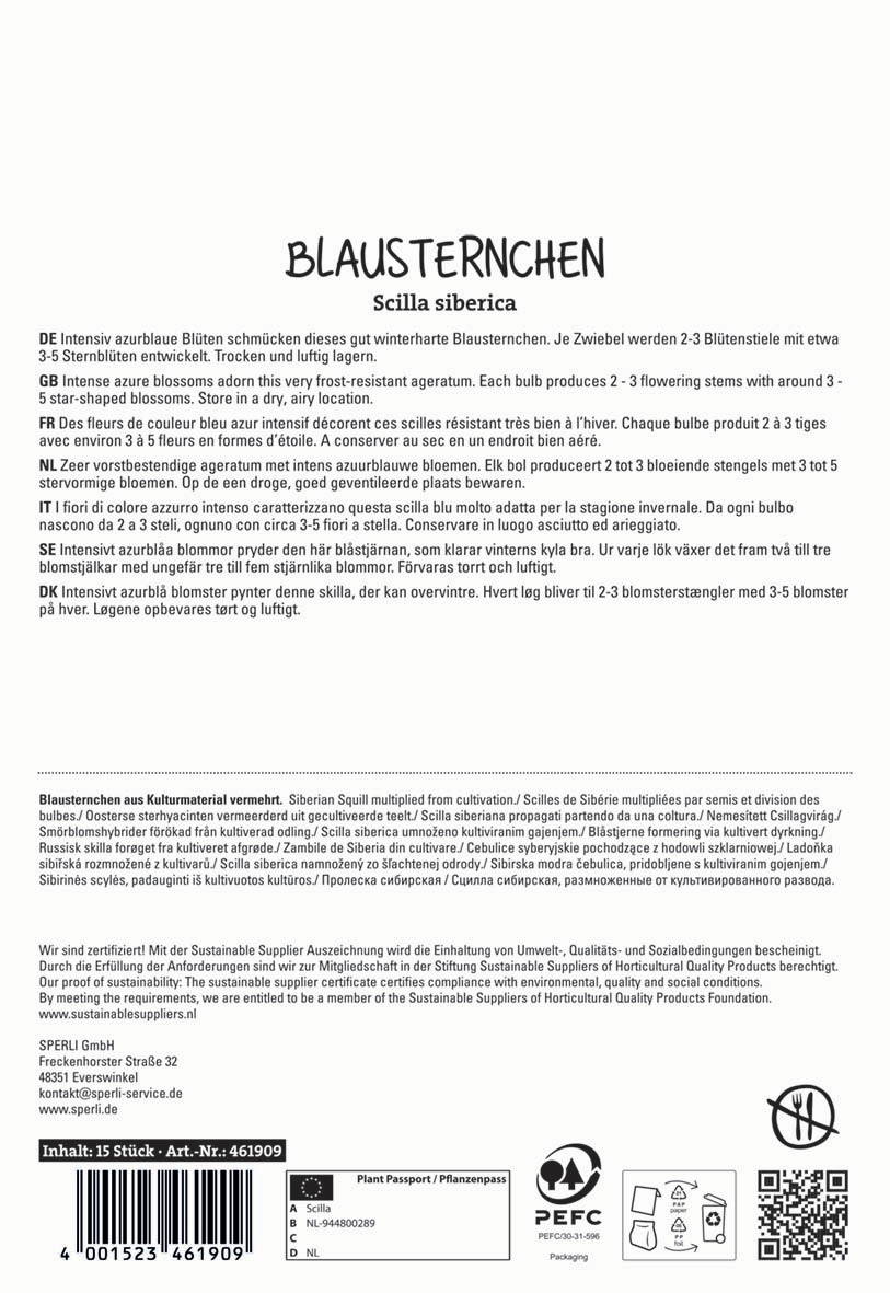 Bläusterchen aus Kulturgutmaterial mit Blütenstielen und Blüten, trocken und luftige Lagerung