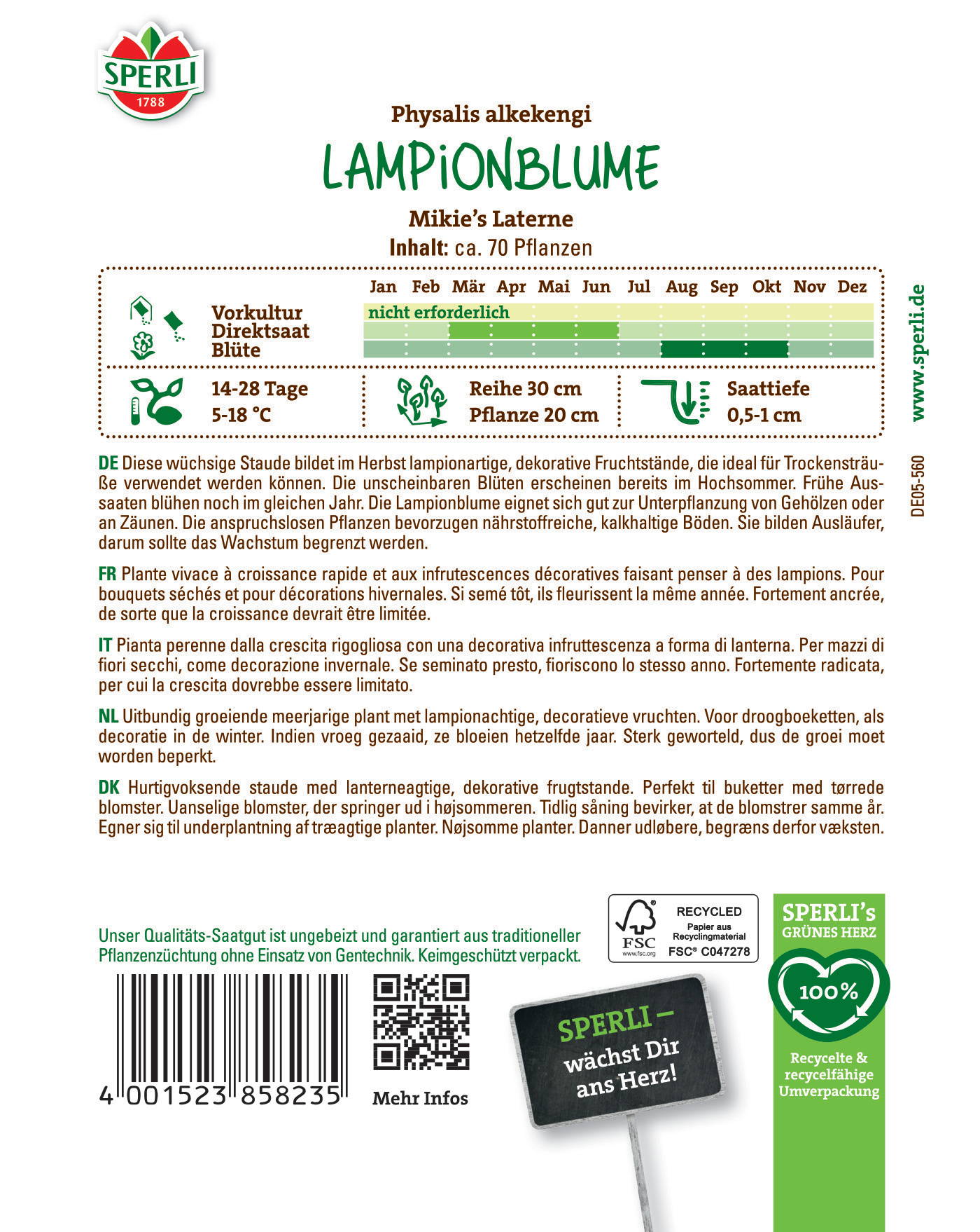 Boden mit Lampionblumen, grün bewachsene, kleine Blüten, 0,5-1 cm Durchmesser.