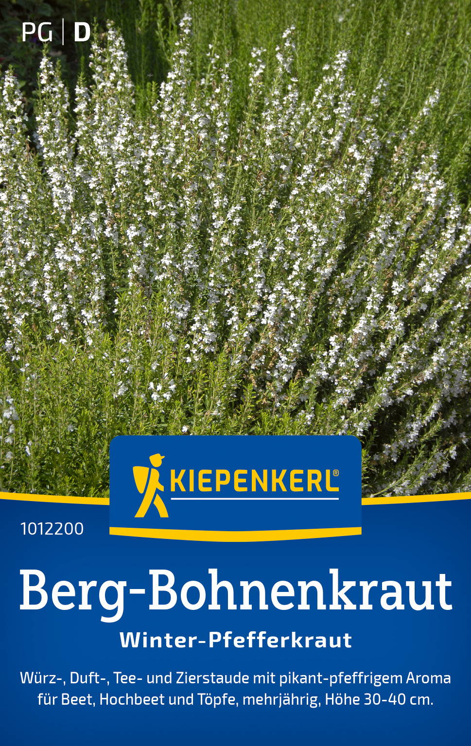 Berg-Bohnenkraut mit weißen Blüten und grünen Blättern in Pflanzenbeet.