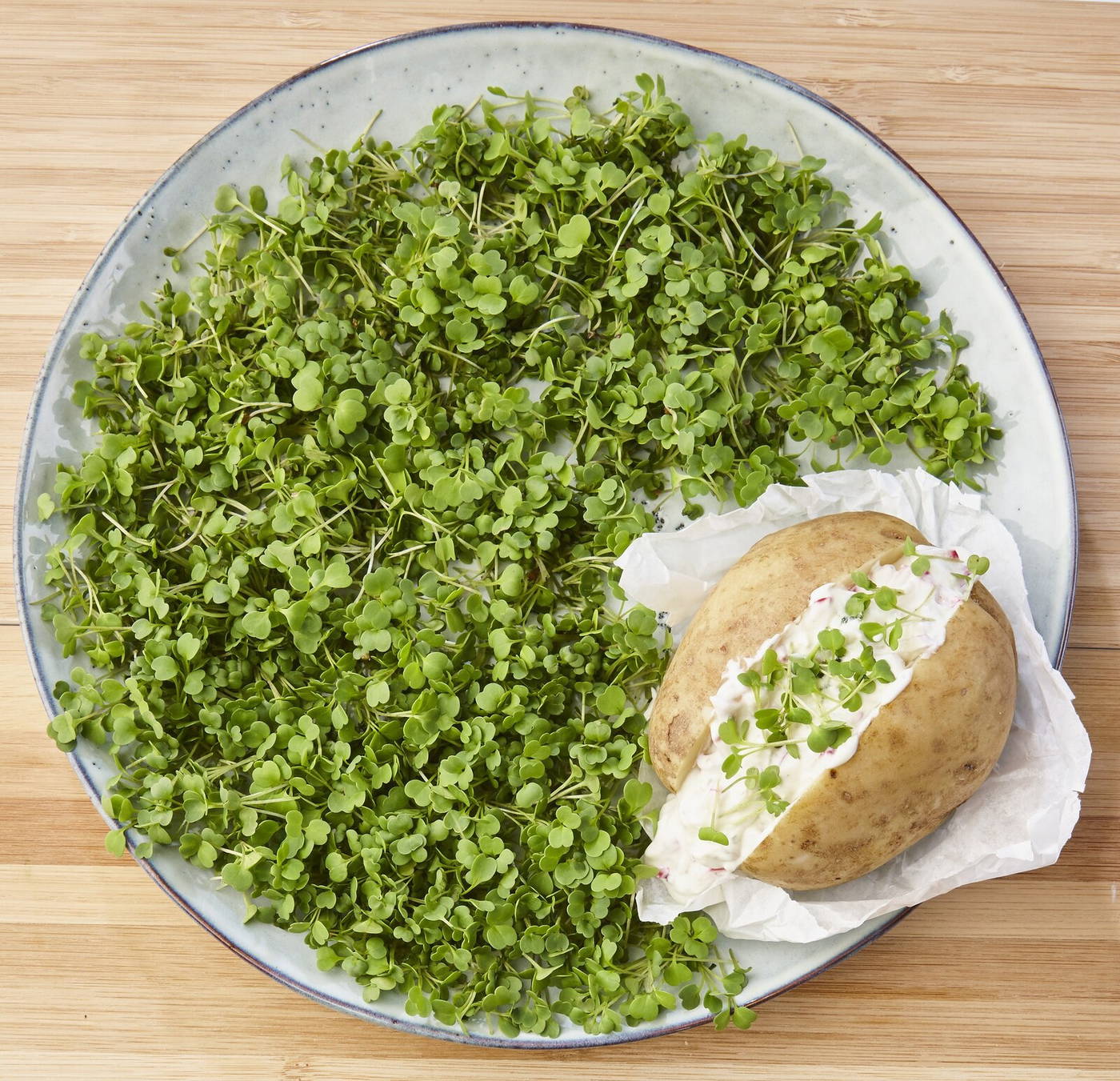 Kleine grüne Sprossen auf einem Teller, daneben eine aufgeschnittene Kartoffel mit Frischkäse und Sprossen.