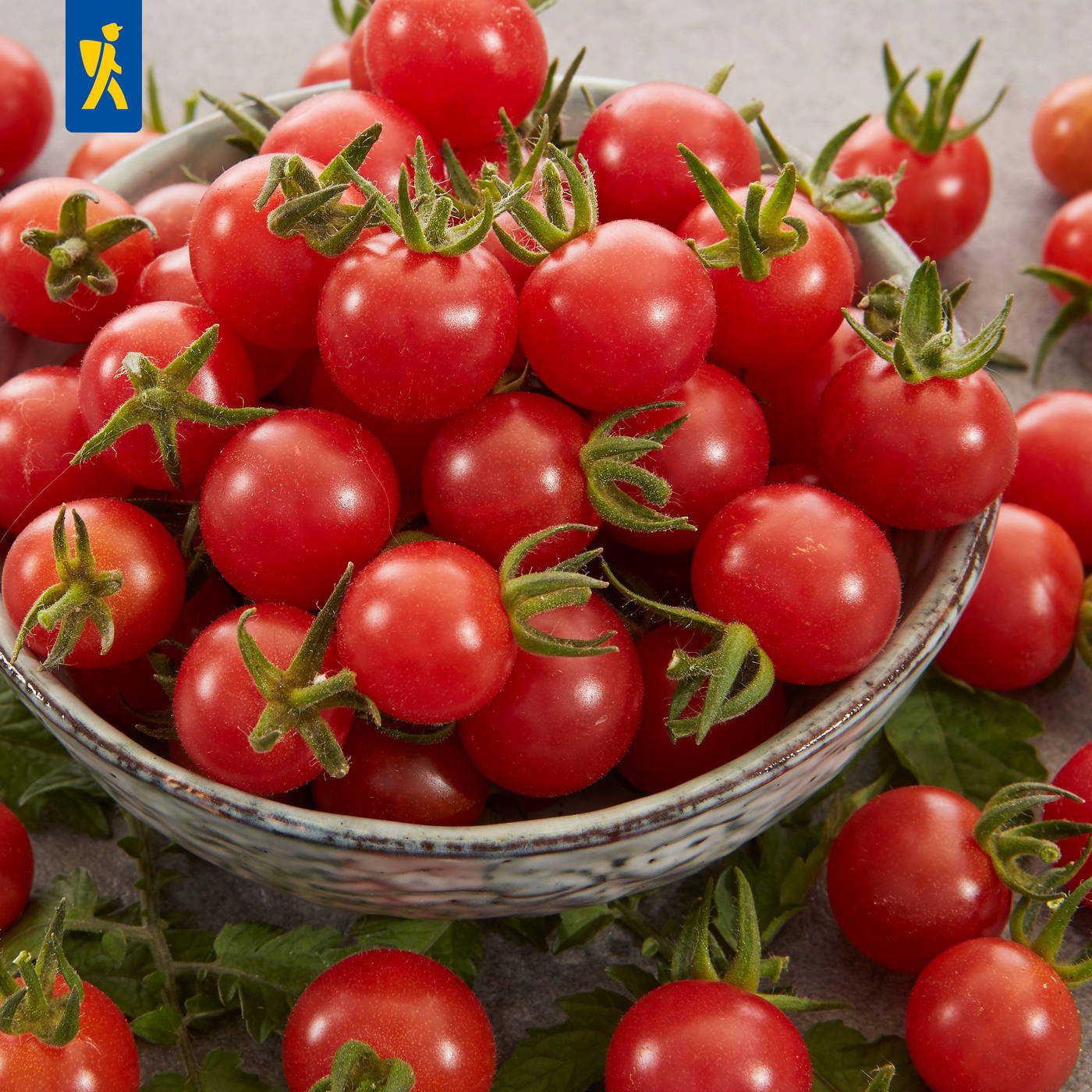 Rote Cherrytomaten in einer Keramikschüssel, umgeben von einigen Tomaten und grünen Blättern.