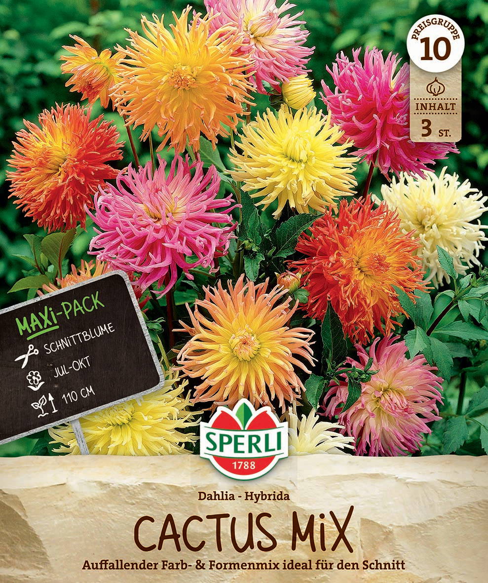 Bunte Dahlien in pink, gelb, orange und weiß vor grünem Hintergrund, Verpackung mit Pflanzeninformation und Logo.