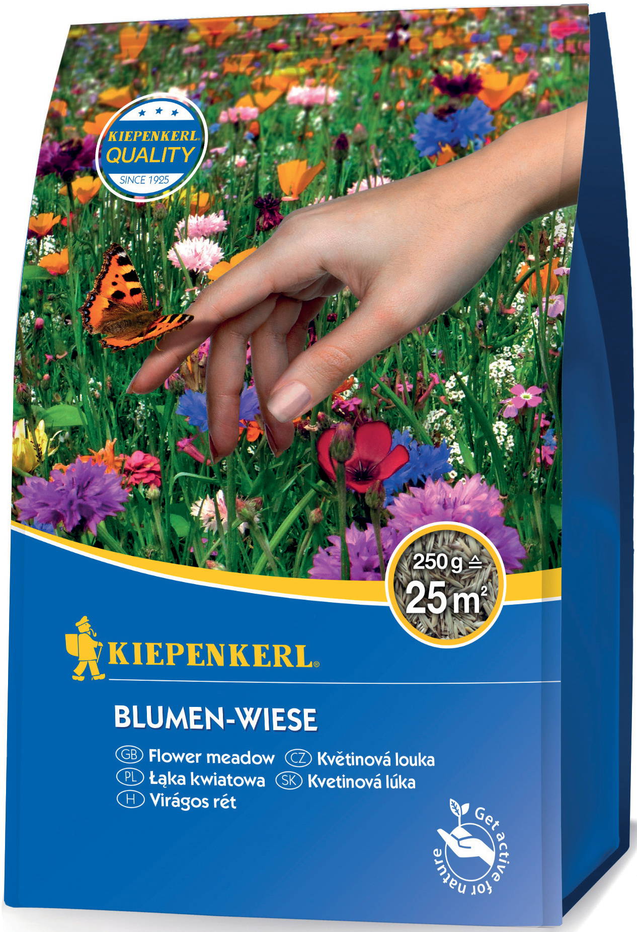 Hand hält eine orange-blaue Schmetterling auf einer bunten Blumenwiese.