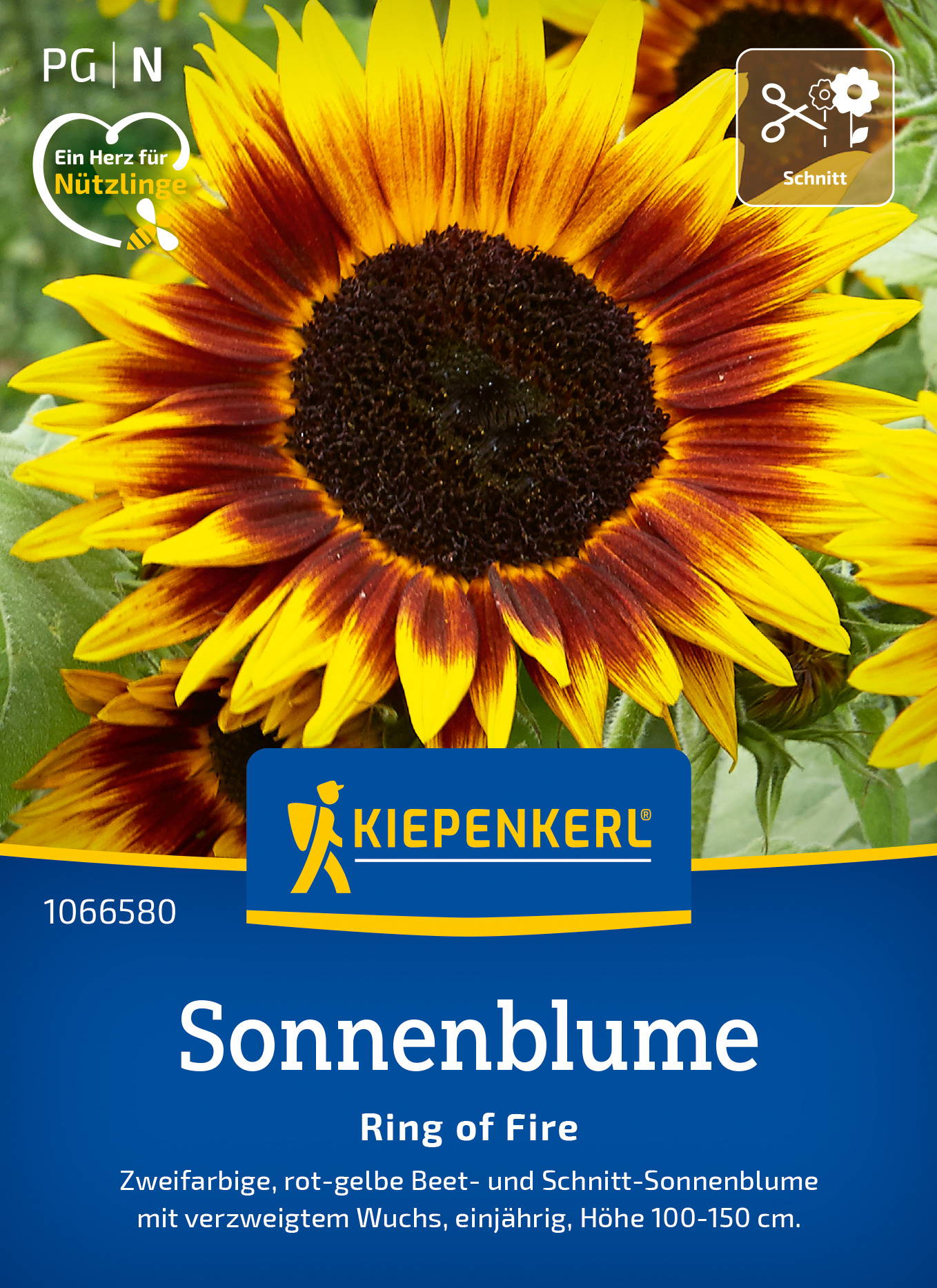 Sonnenblumensamen Ring of Fire