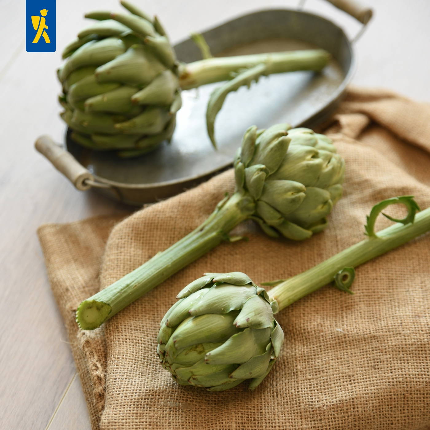 Zwei grüne Artischocken liegen auf einem braunen Stoff und einem Tablett.