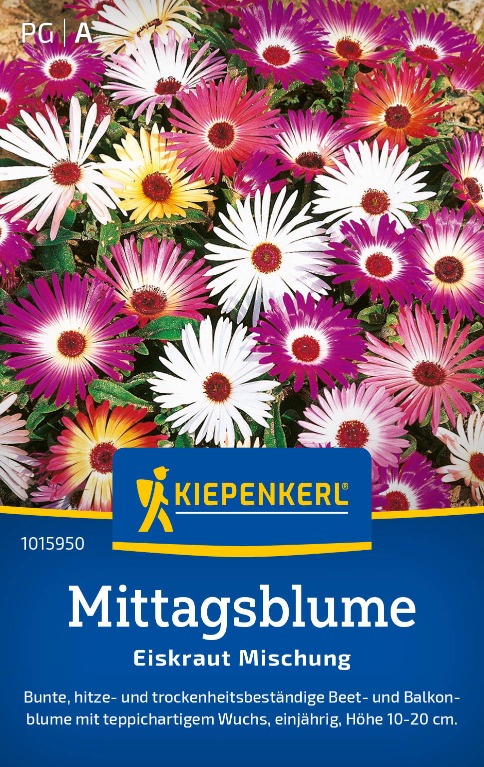 Mittagsblumensamen Eiskraut Mischung