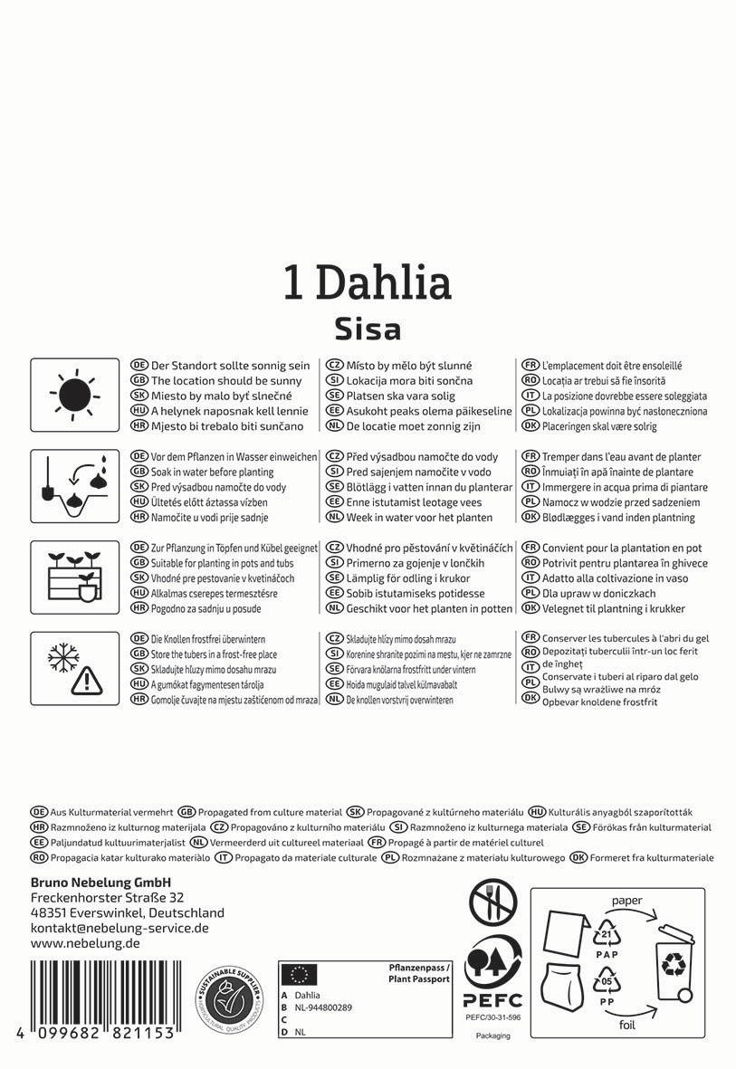 Text mit Pflanztipps, Pflegeanleitungen, Symbole für Wasser, Sonnenschein und Frostschutz in mehreren Sprachen.