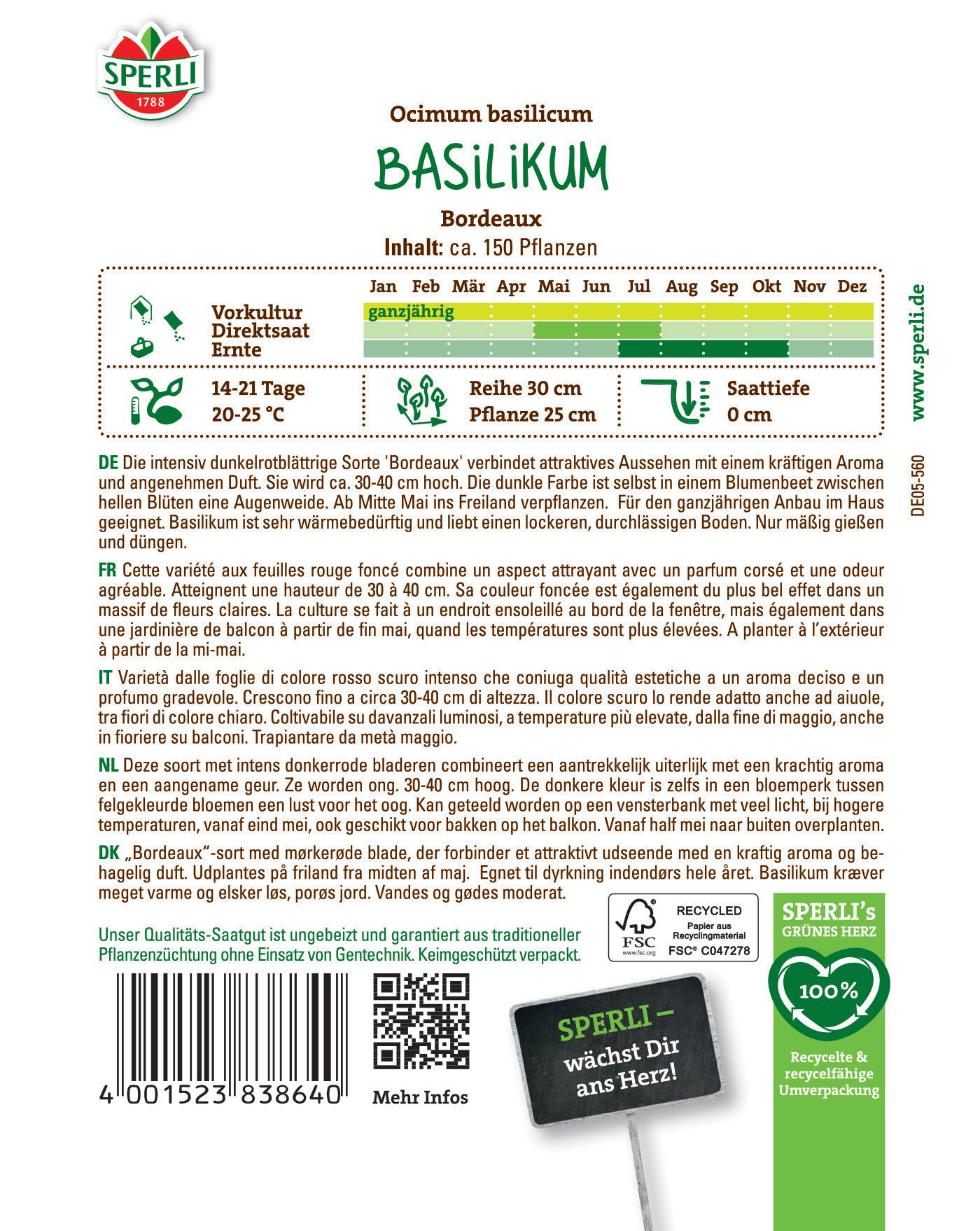 Büschel Basilikum im Pflanzgefäß, grüne Blätter, wächst im Freien, verwendet für Küche, liebe warmes Klima.