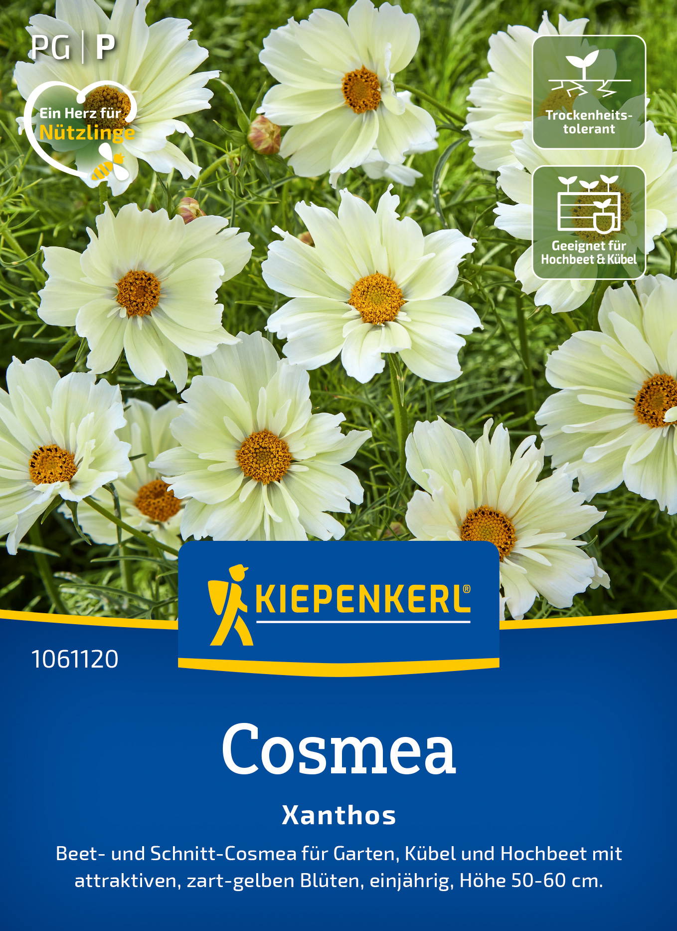 Weiße Cosmea Blumen auf grünem Hintergrund, Verpackung mit Kiepenkerl Branding und Pflanzinfos.