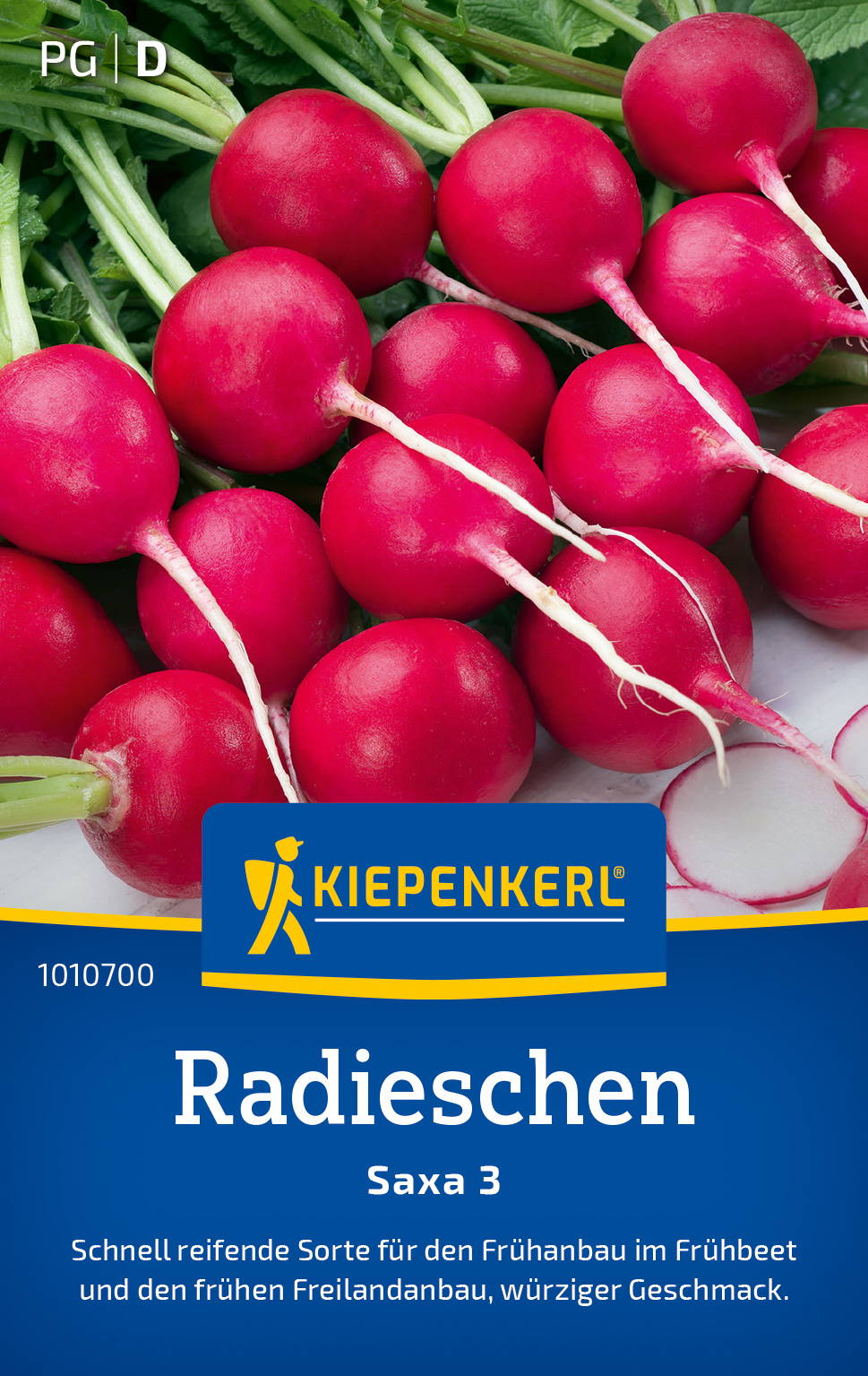 Radieschensamen Saxa 3