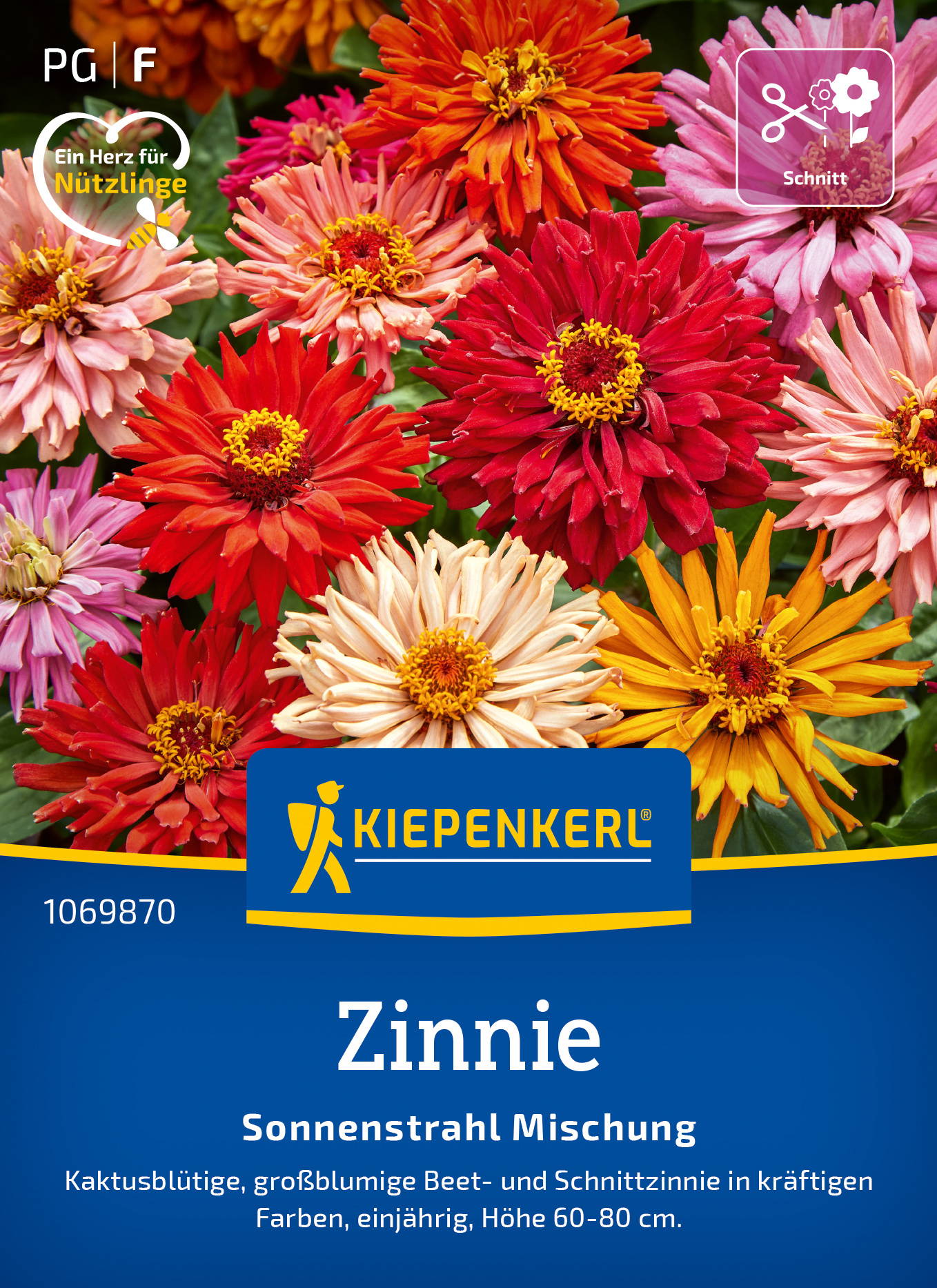 Zinniensamen Sonnenstrahl Mischung