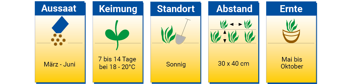 Anleitung zum Anbauen von Pflanzen, mit Angaben zu Aussaat, Keimung, Standort, Abstand und Ernte.