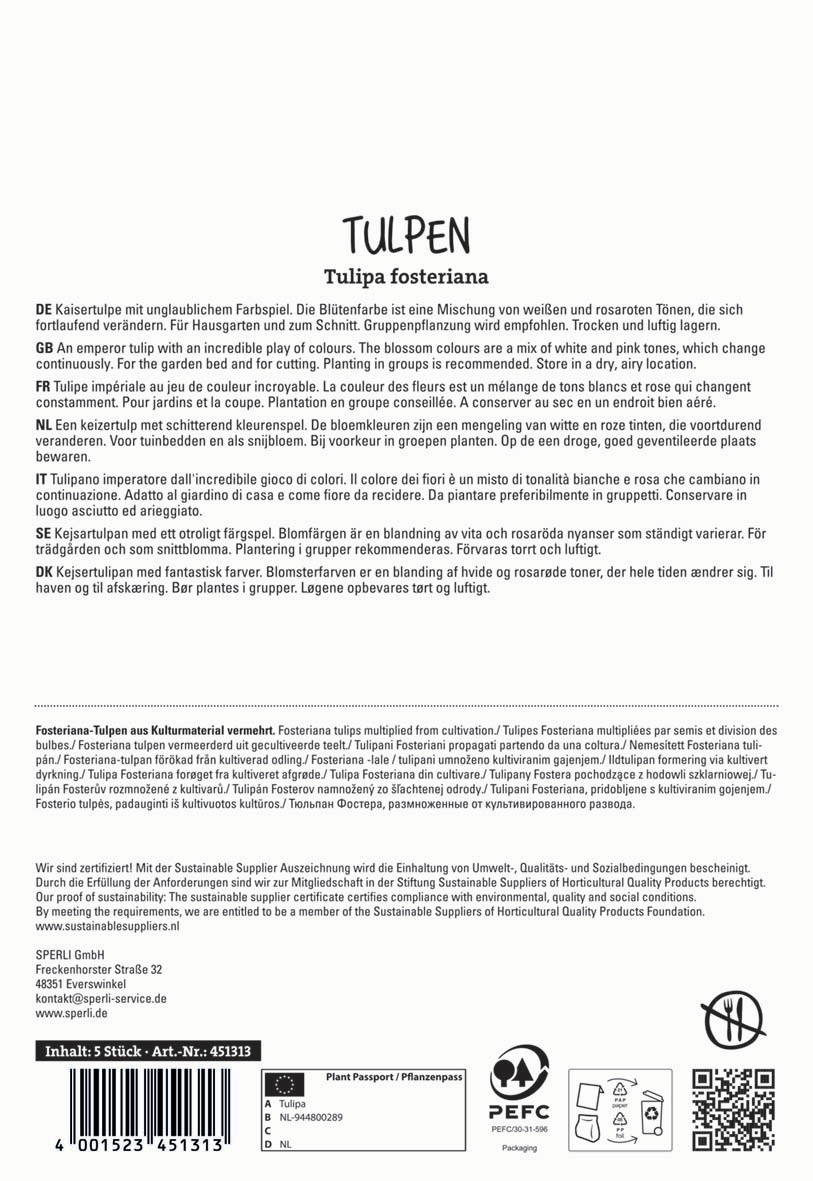 Fosteran Tulpen aus Kulturgut, mit weißen und rosafarbenen Blüten, empfohlen für Garten und Schnitt.