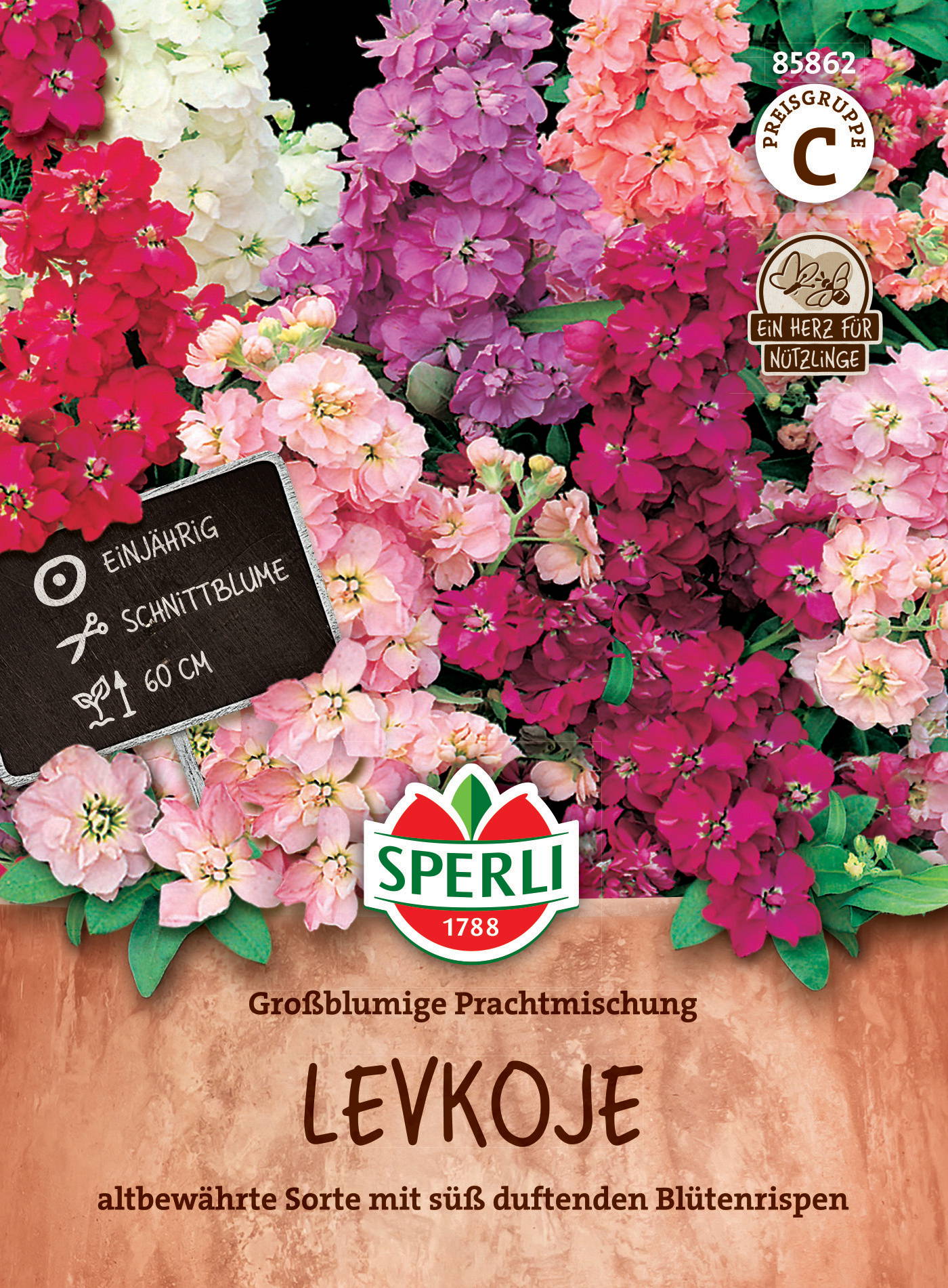 Bunte Levkoje in Blumentopf, Blüten in Pink, Weiß, Lila, Topf aus Terrakotta, Verpackung mit Markenlogo und Text.