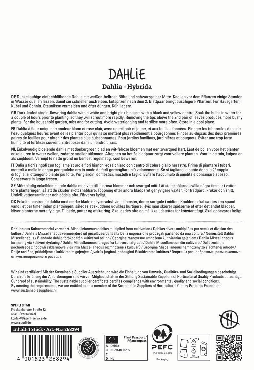 Auf dem Bild ist eine Verpackungsbeschreibung eines Dahlien-Pflanzenpasses mit verschiedenen Sprachversionen und Zertifizierungslogos zu sehen.