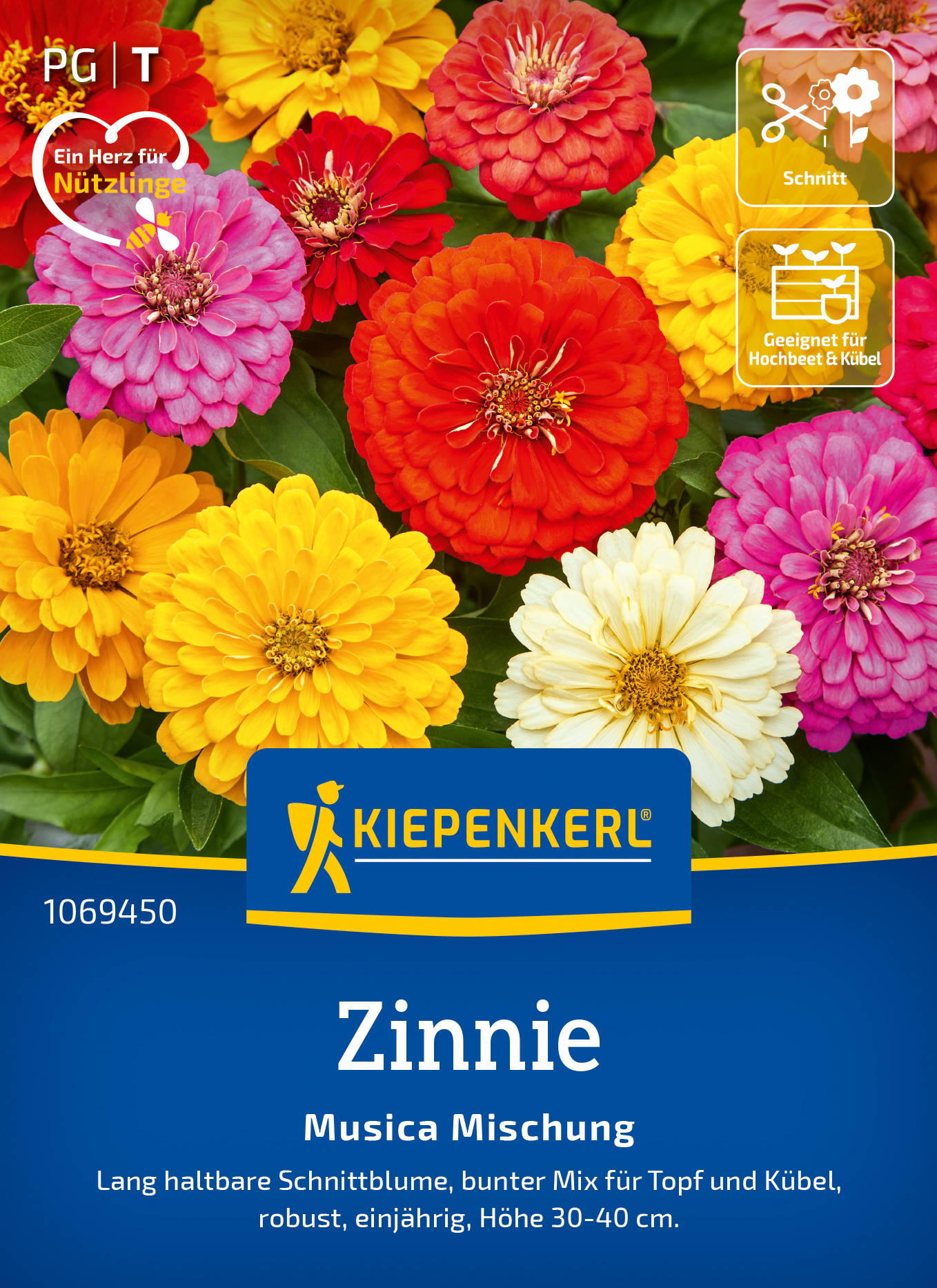 Zinniensamen Musica Mischung