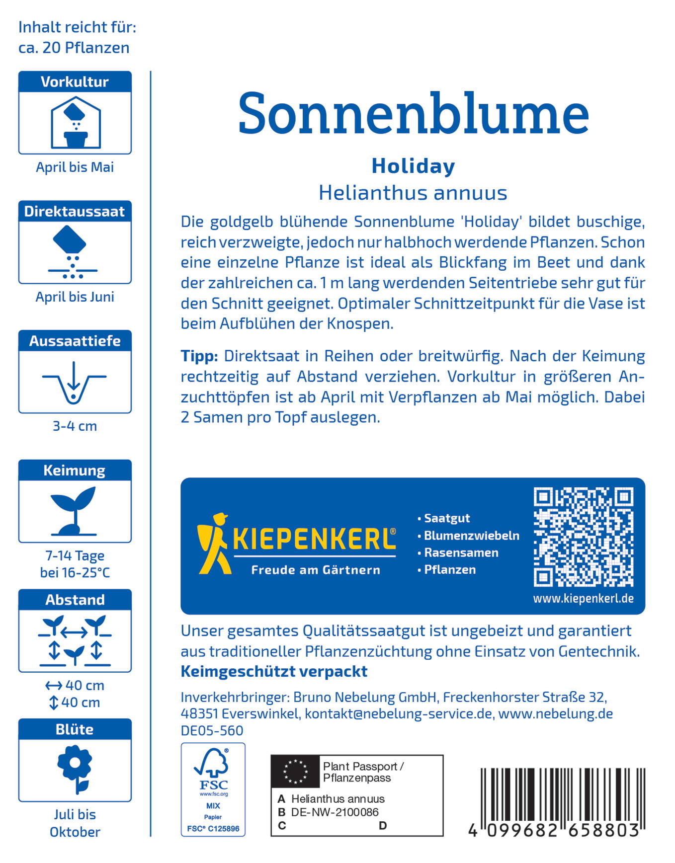 Gelbe Sonnenblume 'Holiday' mit großen, buschigen, verzweigten Blüten, entwickelt sich ab April, blüht bis Oktober.