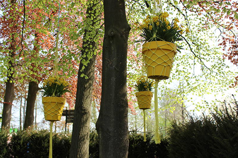Hängende gelbe Pflanzkübel mit gelben Blumen an Bäumen im Park