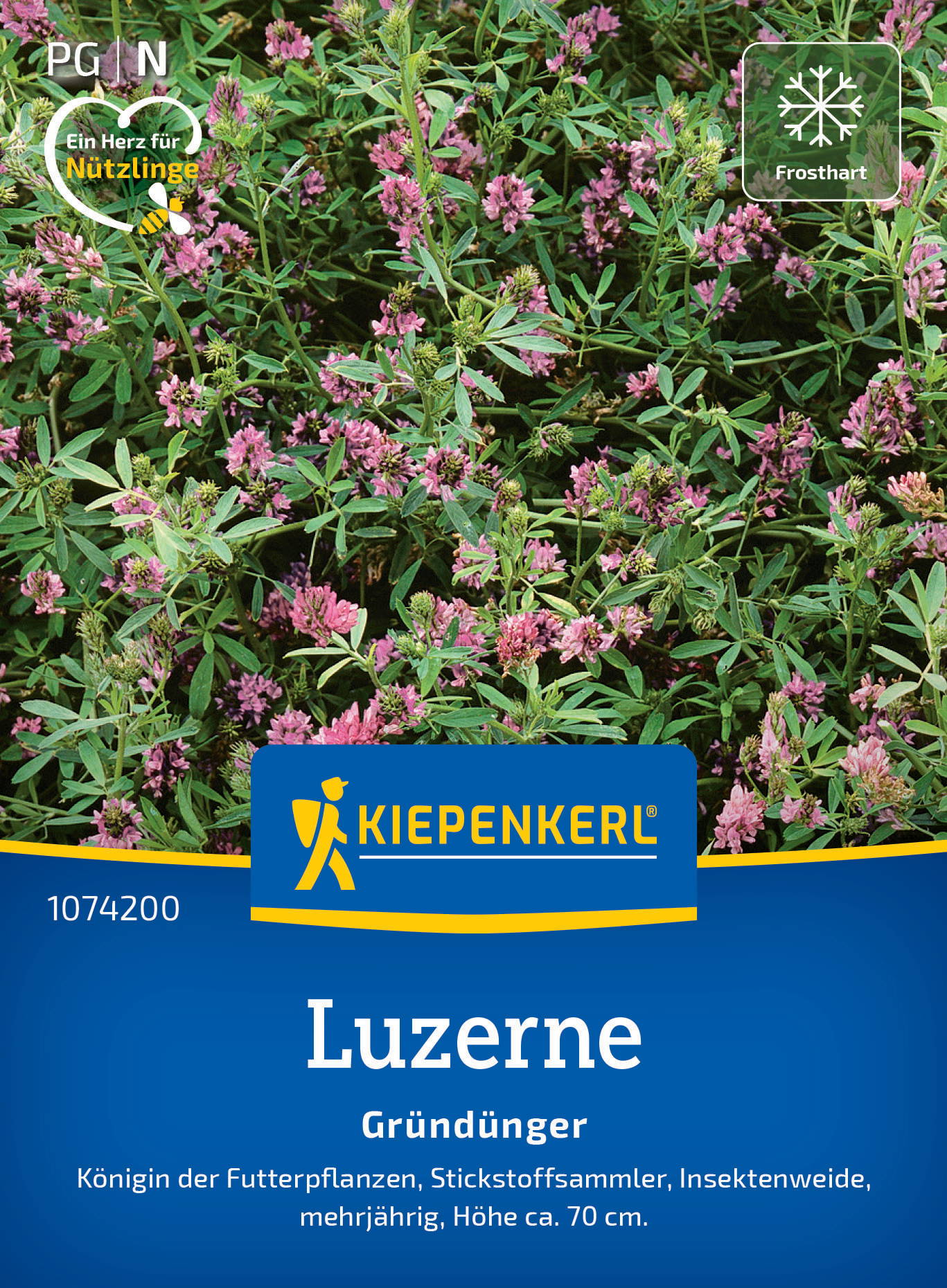 Rückseitiger Bildtext eines Garten- oder Saatgutpakets mit pinken Blüten und grünen Blättern, Kiepenkerl Logo, Name Luzerne.