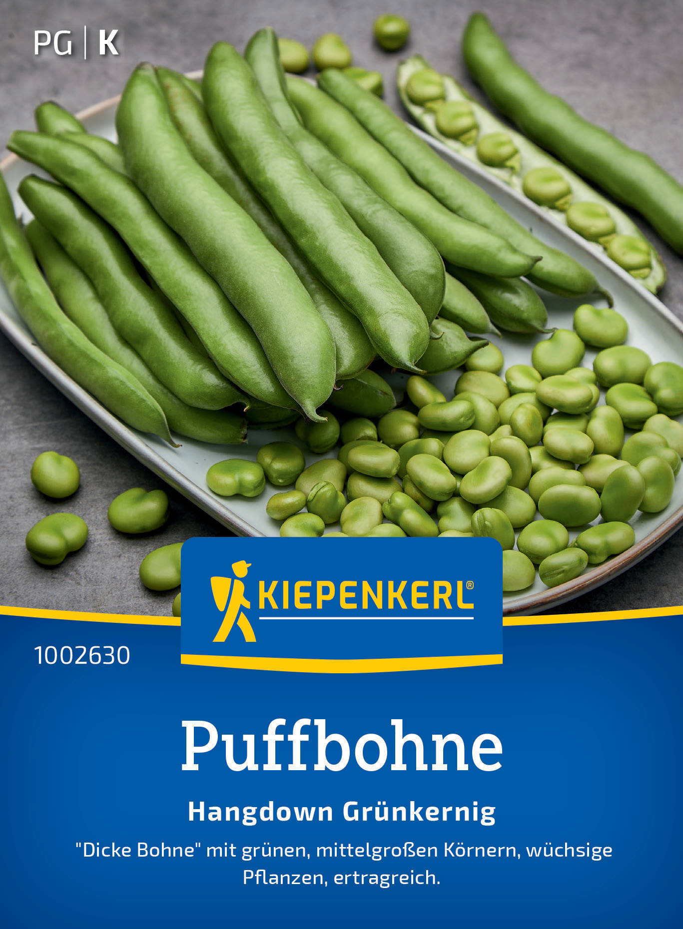 Bündel grüne Puffbohnen, auf weißem Teller, mit weiteren Bohnen in Schale.