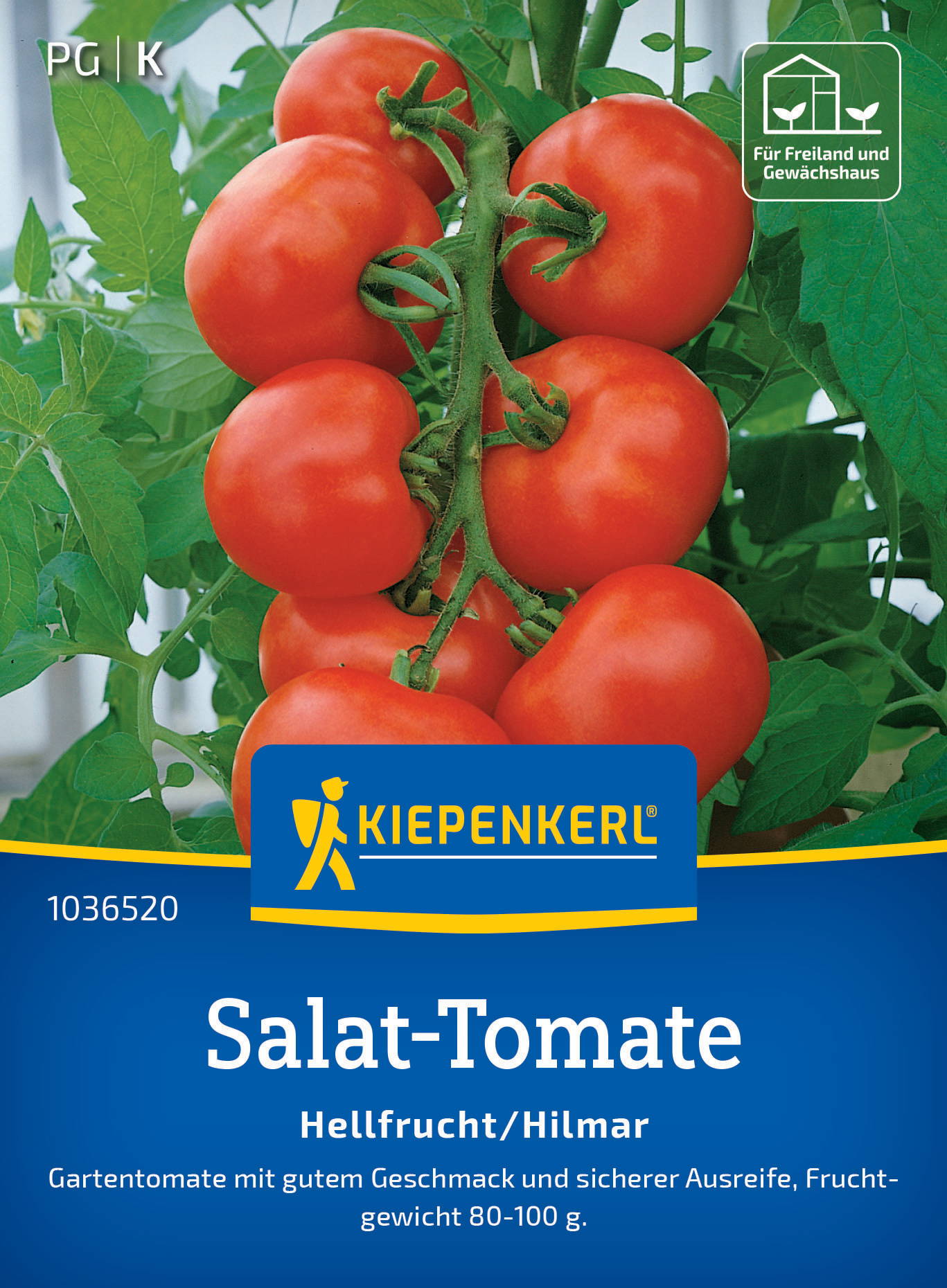 Salat-Tomatensamen Hellfrucht / Hilmar