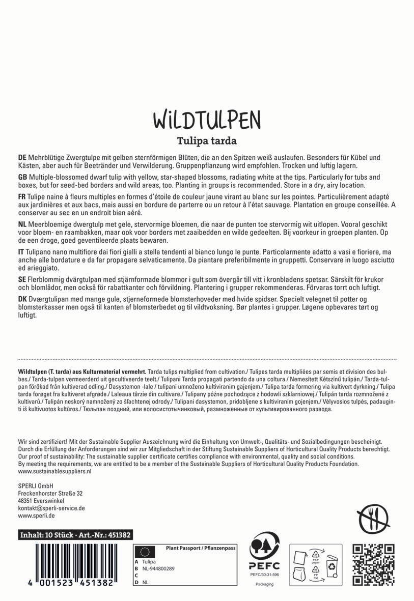 Packung mit Wildtulpen und Informationen in mehreren Sprachen