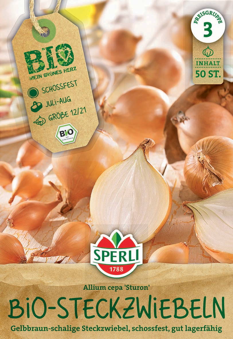 Zwiebeln in Gelb- und Braunfarben, teilweise halbiert, auf braunem Hintergrund.