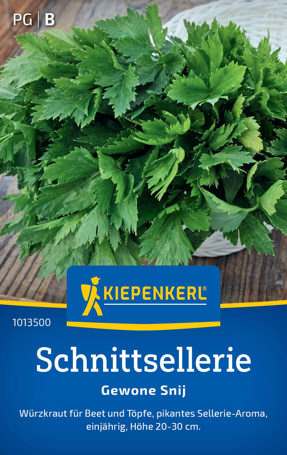 Petersilie, gewöhnliche Schnittsellerie, frisch, grün, auf einem Holztisch.