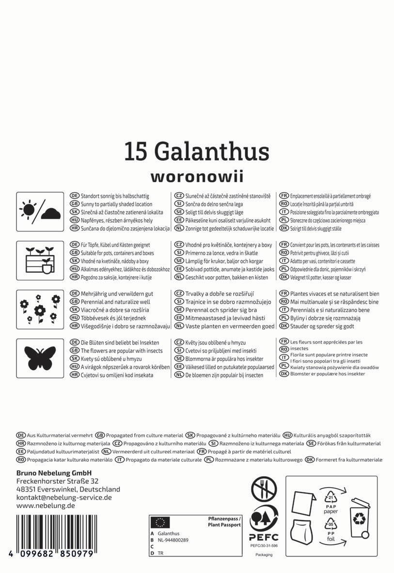 15 Galanthus woronowii, Sonnenlicht bis halbschattig, für Töpfe, Beete, Kübel geeignet, blüht im Frühling