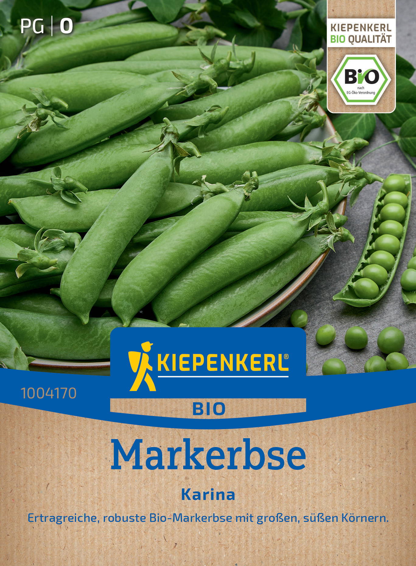 Grüne Markisenerbsen in Schoten, einige Schoten geöffnet mit sichtbaren großen, süßen Körnern.