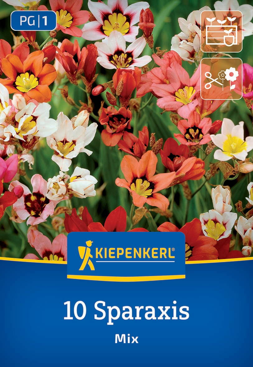 Bunt blühende Blumen in verschiedenen Farben vor grünen Blättern, auf einer Gartenpackung.
