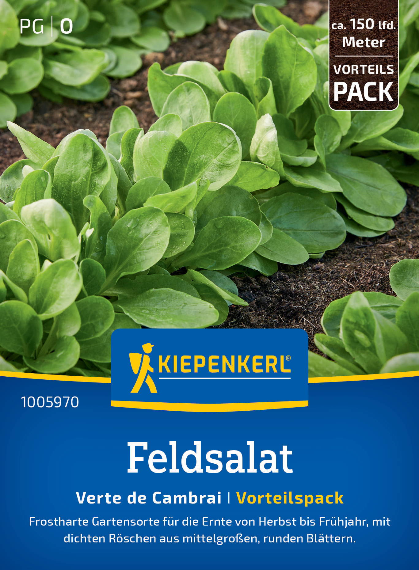 Feldsalatsamen Verte de Cambrai, Vorteilspackung