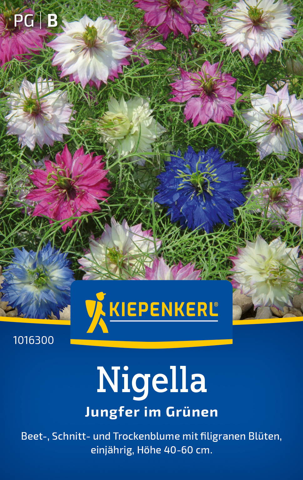 Blumenmischung mit bunten Nigella, Höhe 40 bis 60 cm, für Gartenbeete und Schnittblumen.