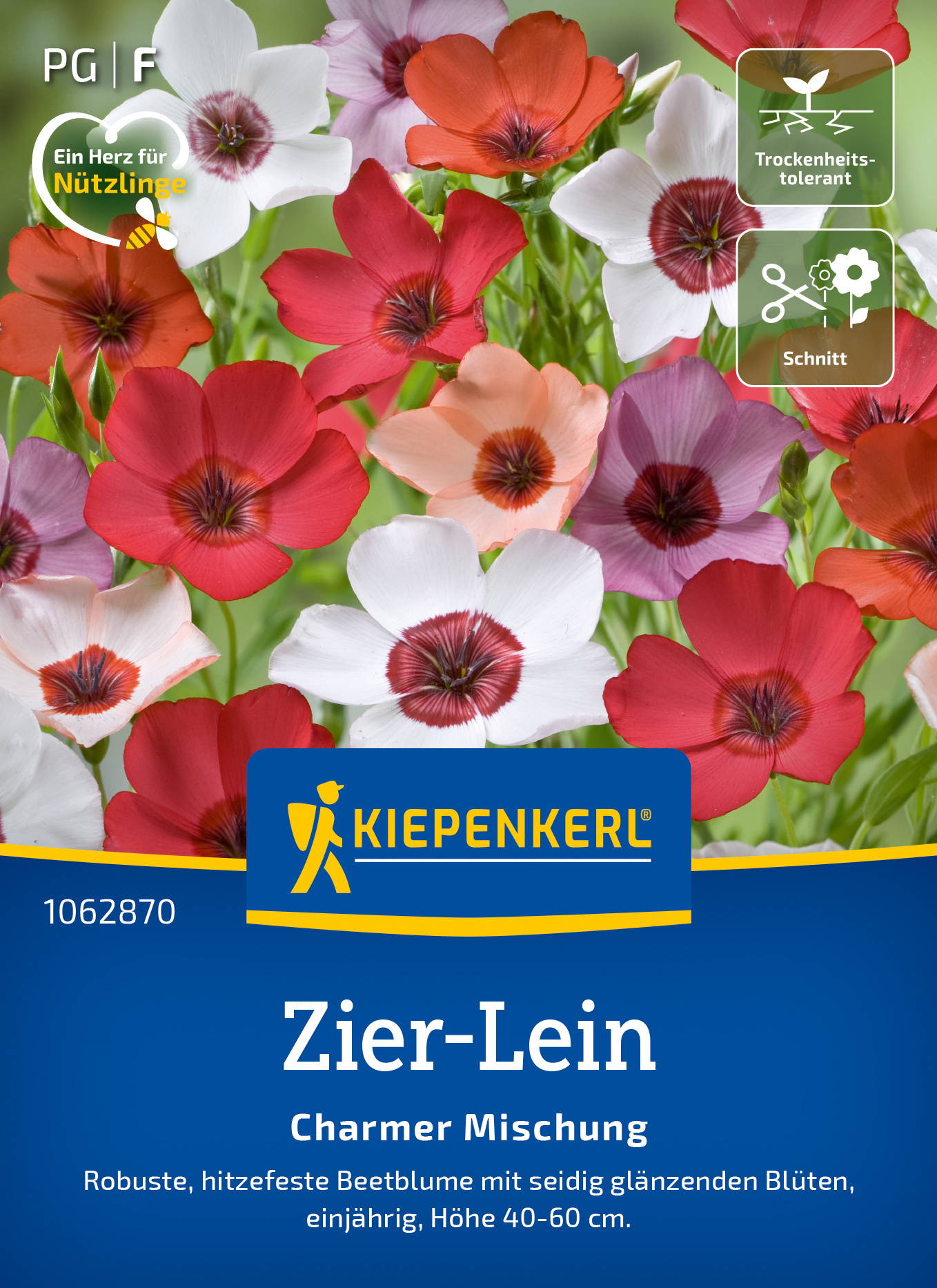 Bunte Beetblumen mit weißen, roten, rosa und orangefarbenen Blüten vor grünem Hintergrund.