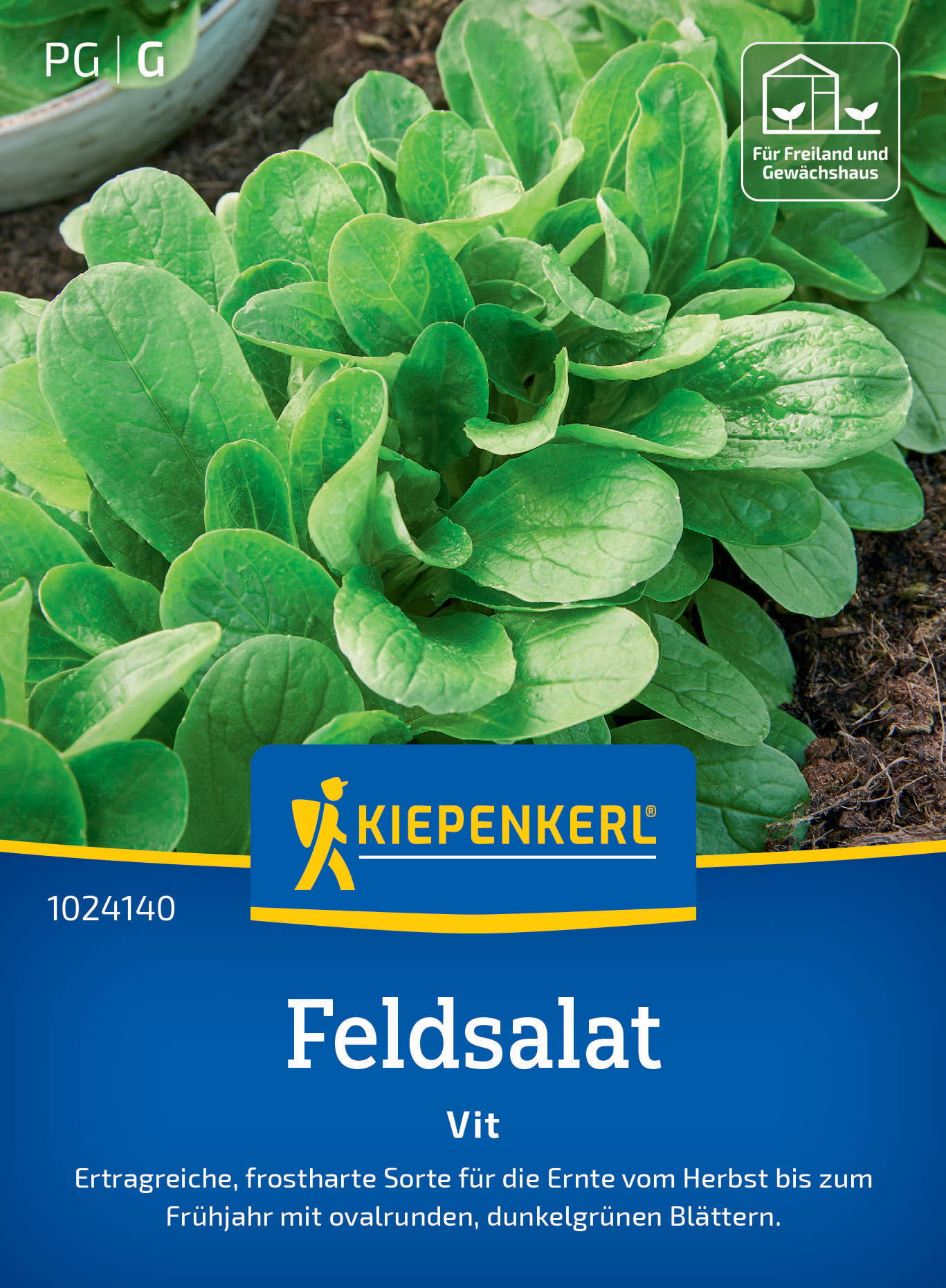 Feldsalatsamen Vit