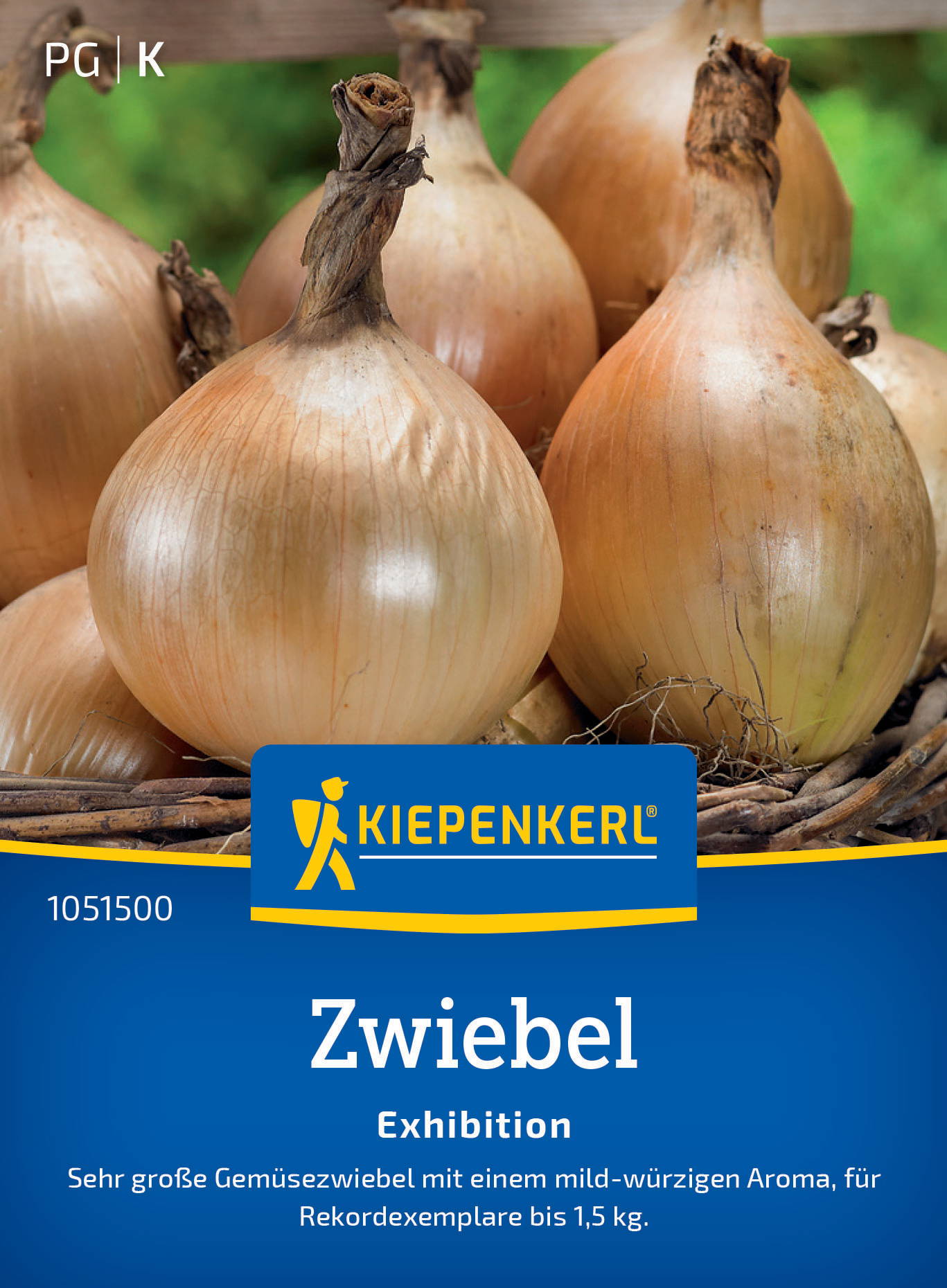 Zwiebelsamen Exhibition