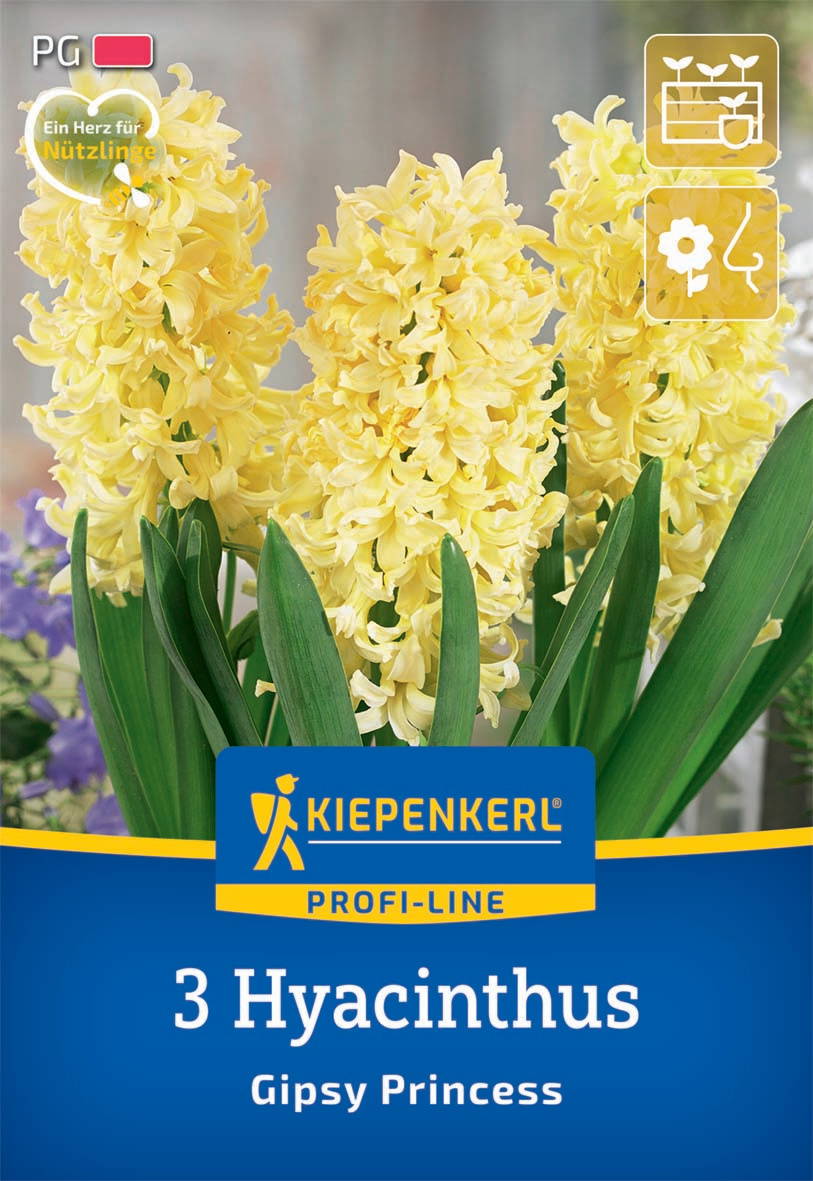 Gelbe Hyazinthen mit langen grünen Blättern vor Wolkenhimmel.