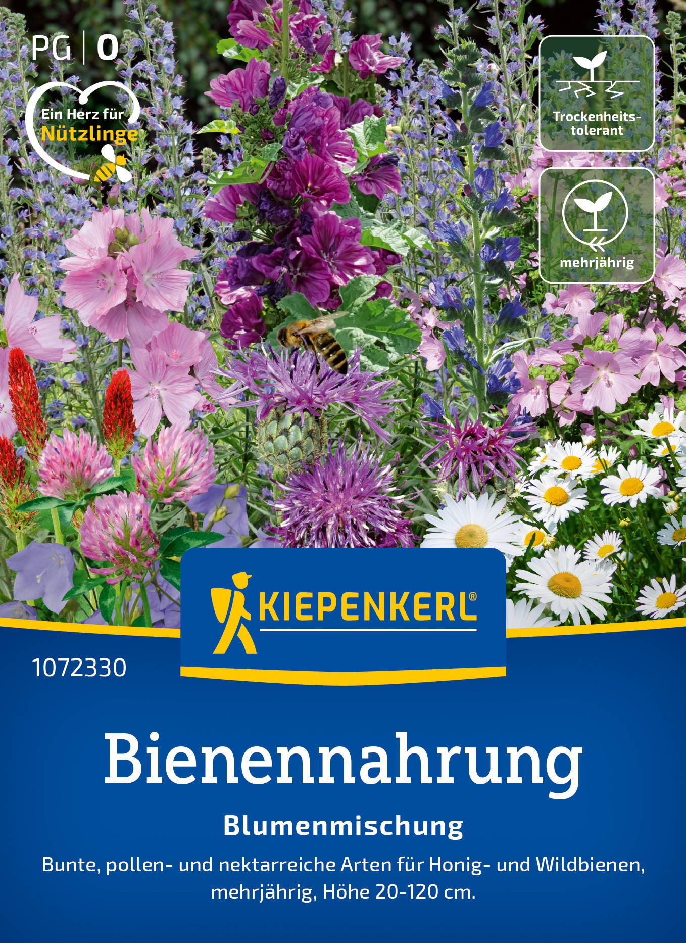Blumensamen-Mischung Mehrjährige Bienenfutterpflanzen
