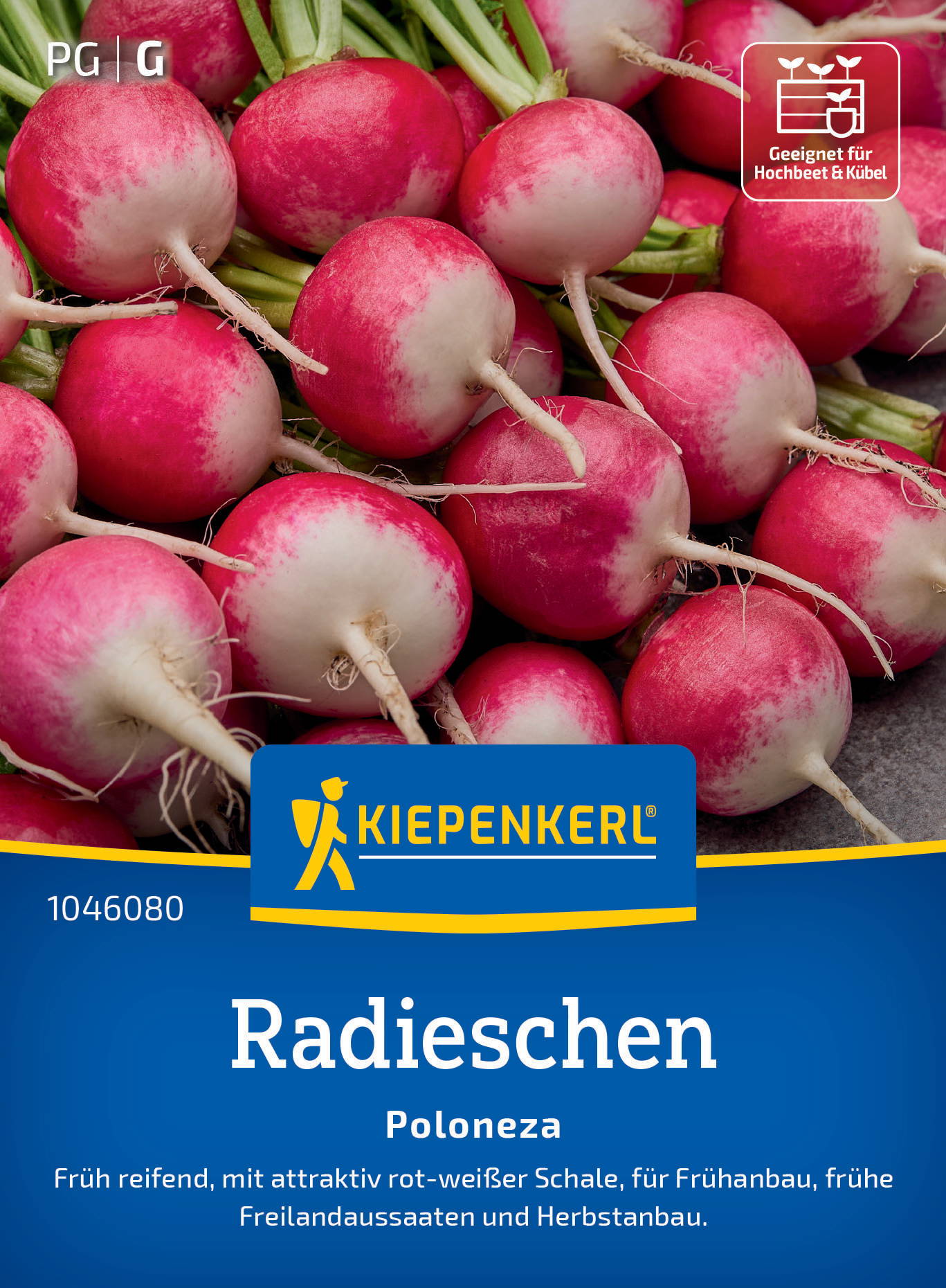 Radieschen mit roter und weißer Schale, auf einem dunklen Hintergrund, Verpackung mit Kiepenkerl-Logo und Produktinformationen.