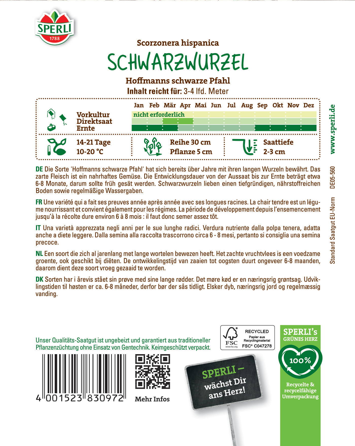 Schwarzwurzel mit langen Wurzeln, dunkle Rinde, Entwicklung 6-8 Monate, regelmäßige Wassergaben