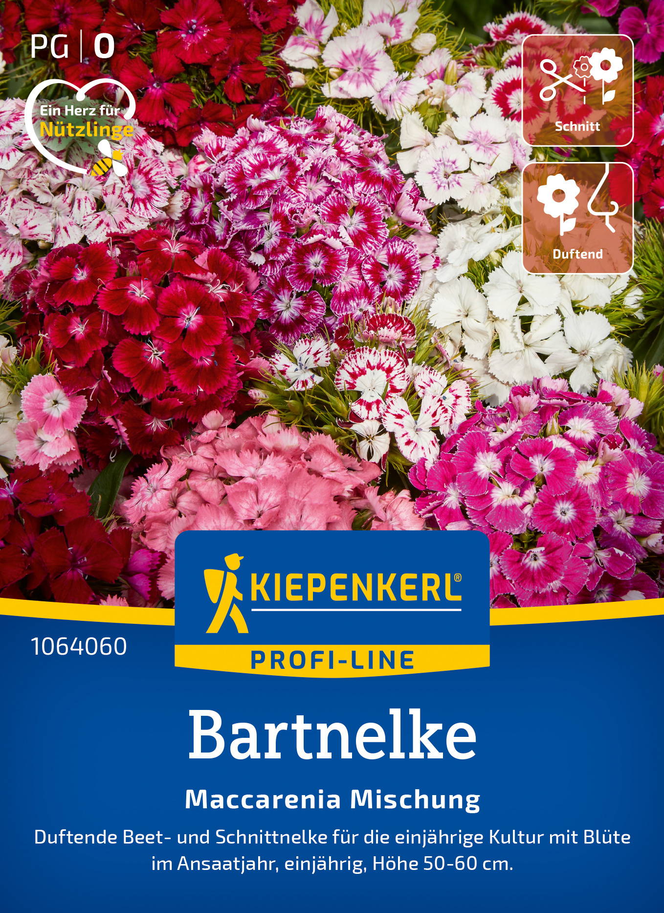 Bunte Blumenmischung mit verschiedenen Farben und Blüten für die Bepflanzung im Beet.