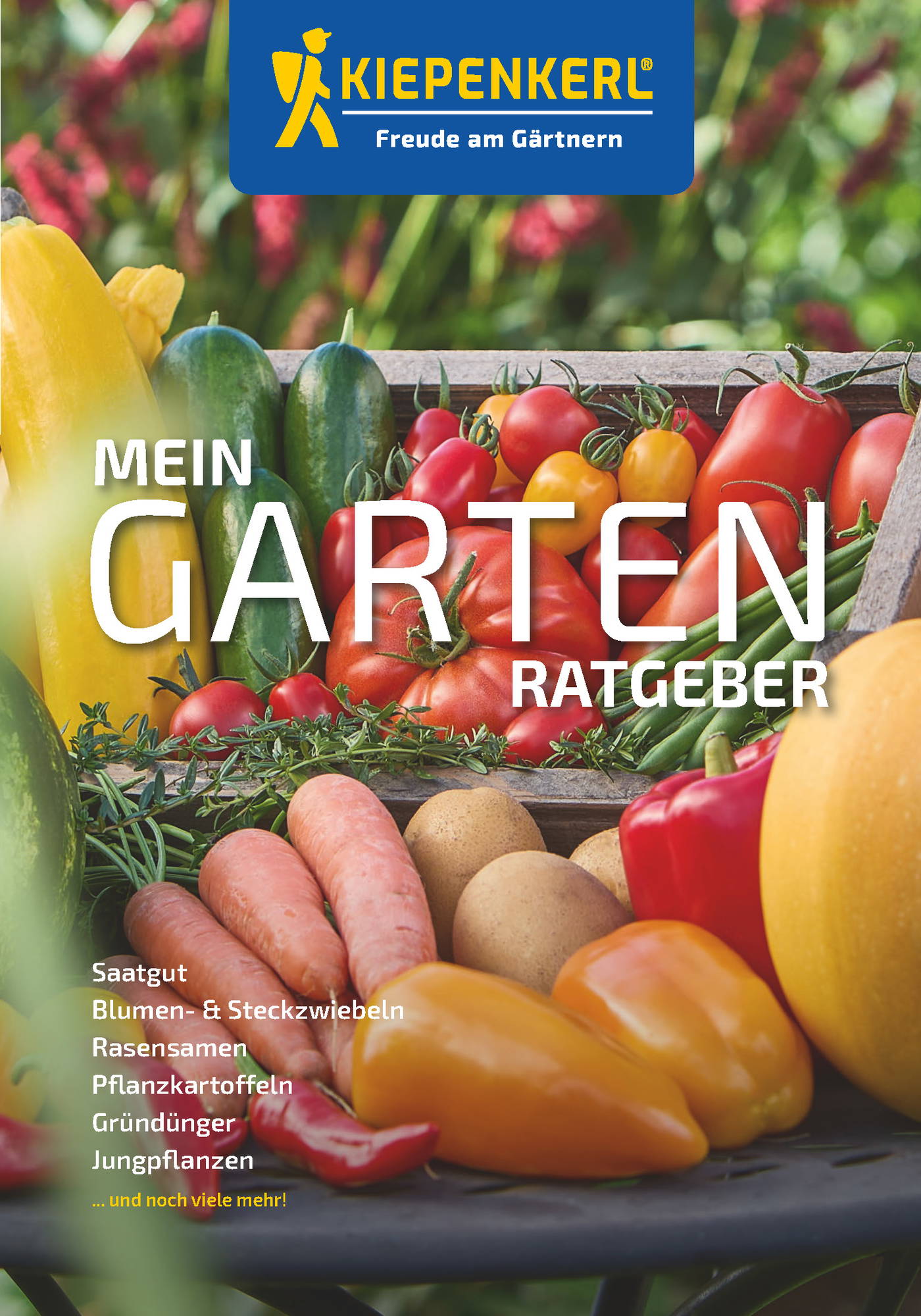 Verschiedene Gemüsesorten wie Tomaten, Paprika, Karotten, Gurken, Zwiebeln, Kartoffeln und Chili auf einem Holztisch.