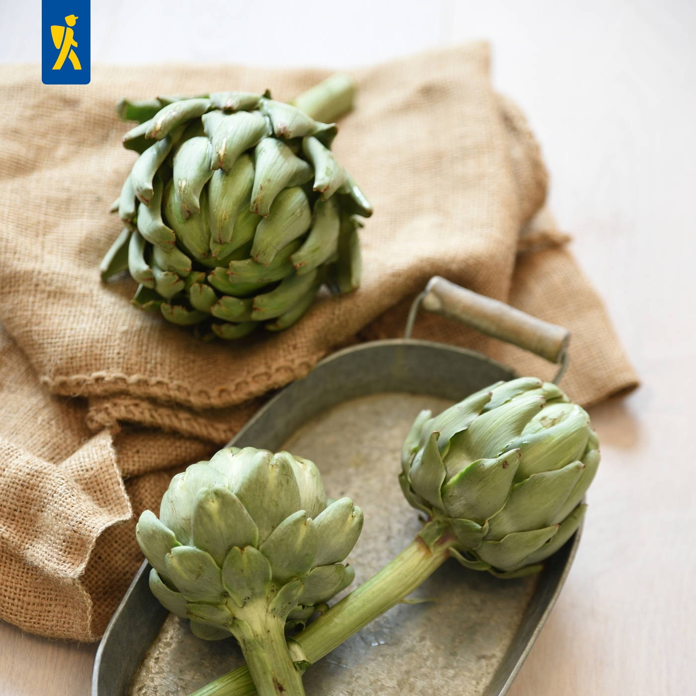 Drei grüne Artischocken auf einem Metalltablett und einem Stofftuch.