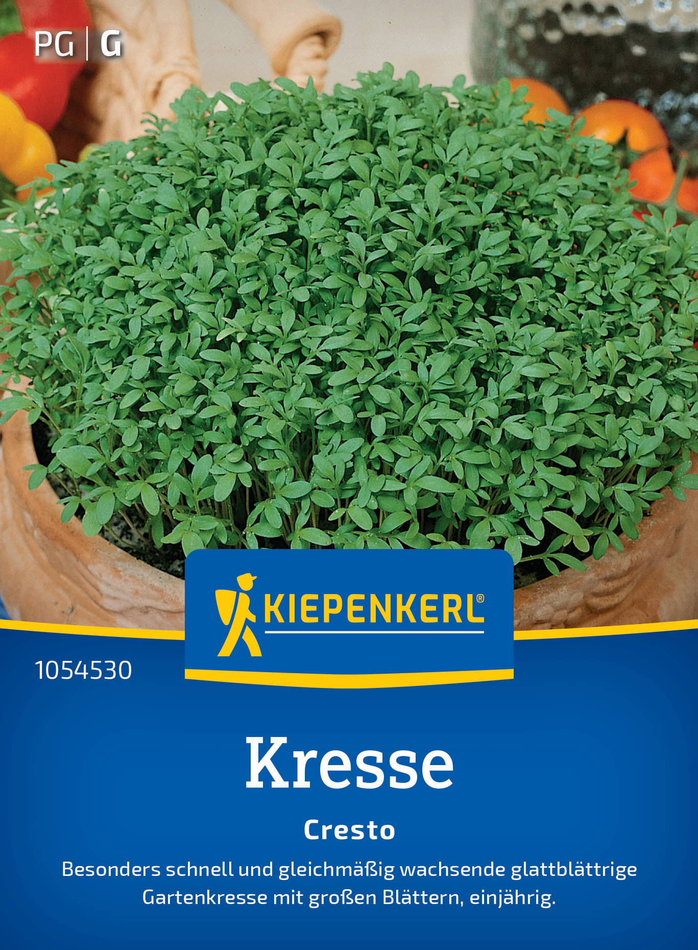 Kleiner Topf mit grünem Kresse-Pflanzen, blattartig und dicht wachsend, auf einer bunten Verpackung.