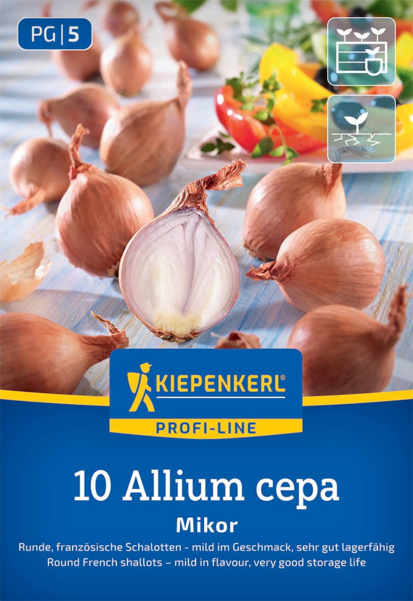 Mehrere runde französische Schalotten mit einer halben Schalotte in der Mitte und bunter Paprika im Hintergrund.