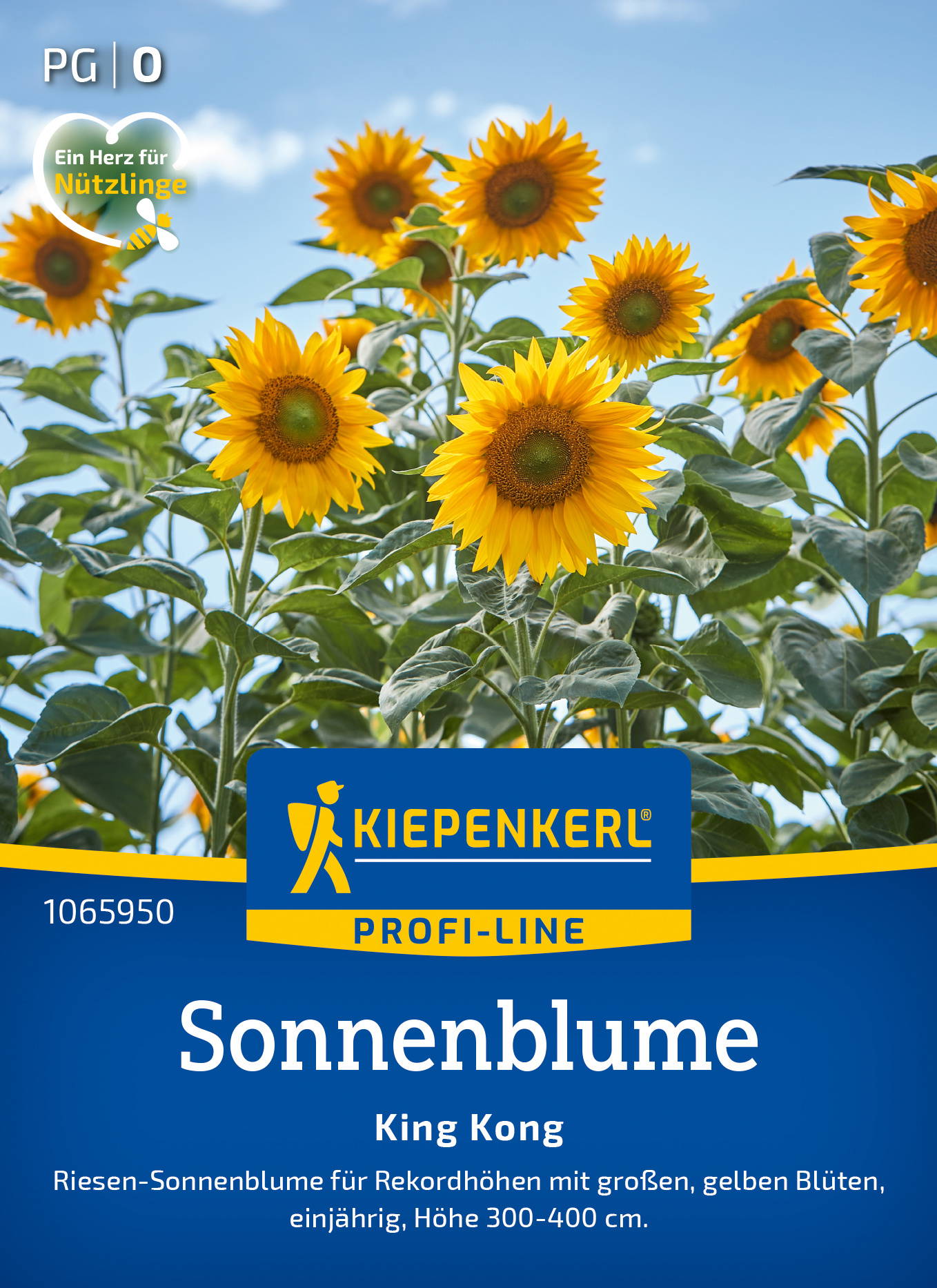 Sonnenblumensamen King Kong