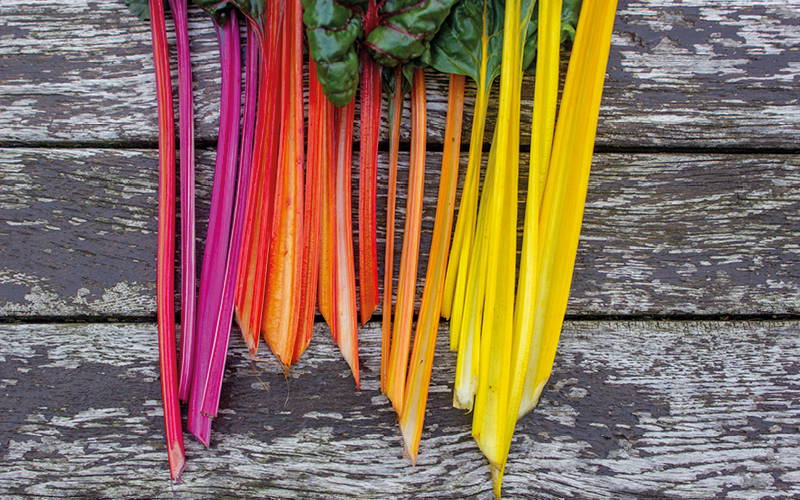 Bunte Rhubarb-Stängel auf Holzoberfläche von oben fotografiert