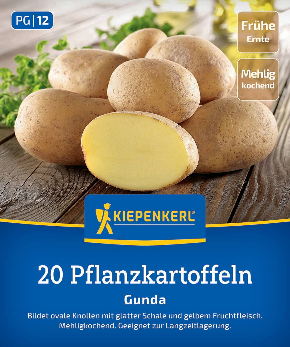 Hülsenfrüchte in ovaler Form mit glatter Schale und gelbem Fruchtfleisch, auf Holzunterlage, grüner Hintergrund.