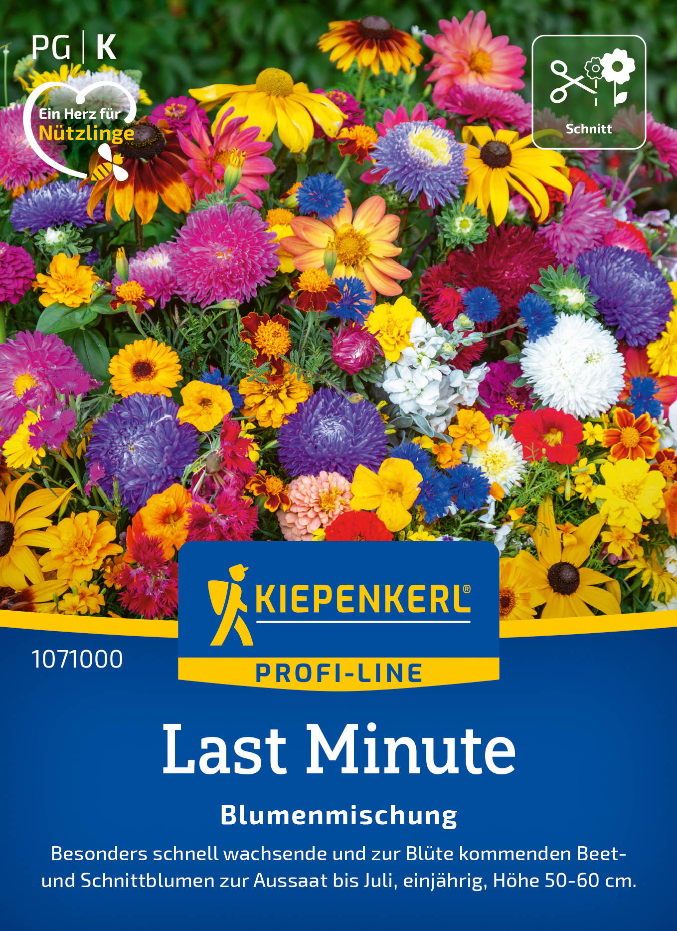 Blumensamen-Mischung Last Minute