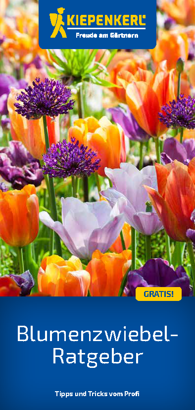Blumenzwiebel-Ratgeber